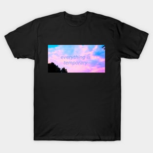 everything is temporary T-Shirt